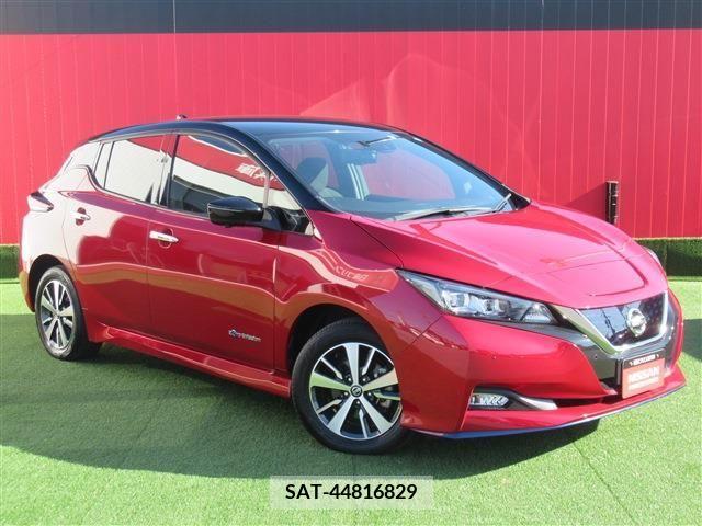 Nissan LEAF 2020-09 206141-0
