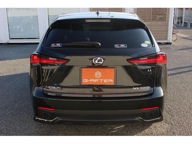 Lexus NX 2018-05 190946-9