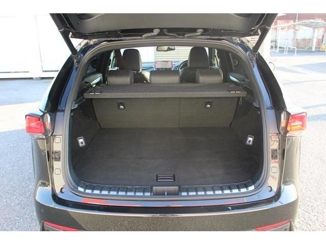 Lexus NX 2018-05 190946-17