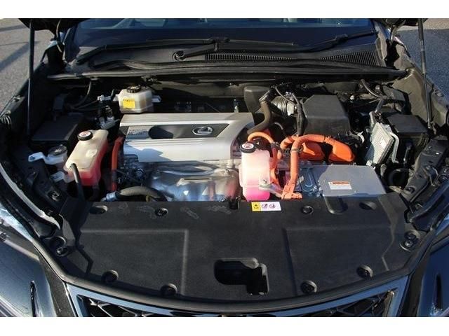 Lexus NX 2018-05 190946-18