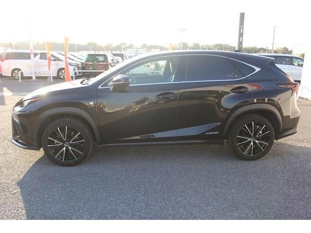 Lexus NX 2018-05 190946-8