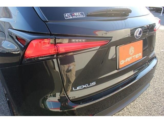 Lexus NX 2018-05 190946-12