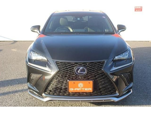 Lexus NX 2018-05 190946-7