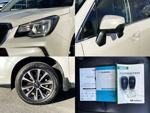 Subaru FORESTER 2016-04 189846-7