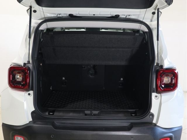 Jeep RENEGADE 2021-06 20674-21