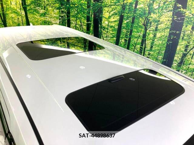 Toyota ALPHARD 2021-06 388976-2