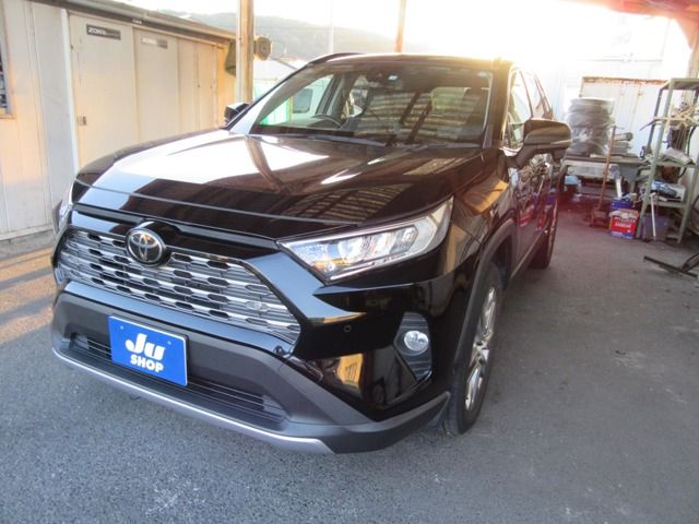 Toyota RAV4 2019-12 192153-0