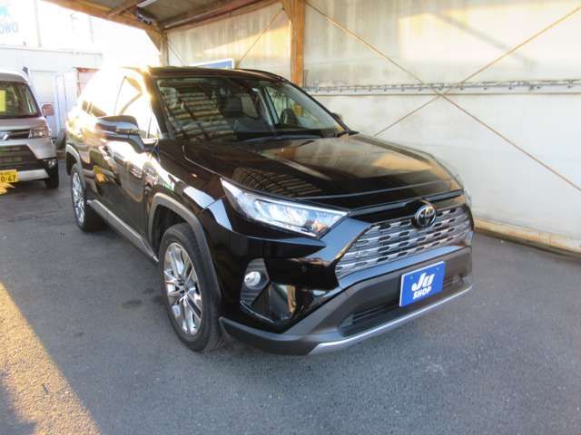 Toyota RAV4 2019-12 192153-2