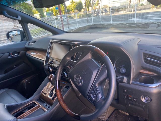 Toyota ALPHARD 2016-06 18695-8