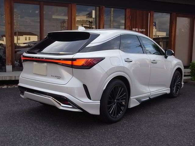 Lexus RX 2023-08 13126-1