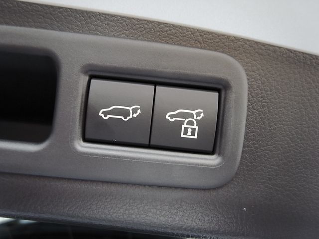 Lexus RX 2023-08 13126-22
