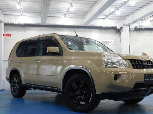 Nissan X-TRAIL 2009-10 23337-2