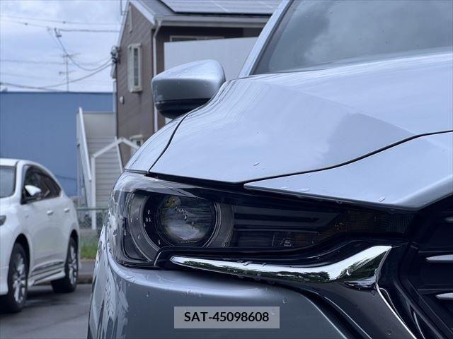 Mazda CX-8 2018-03 308537-9