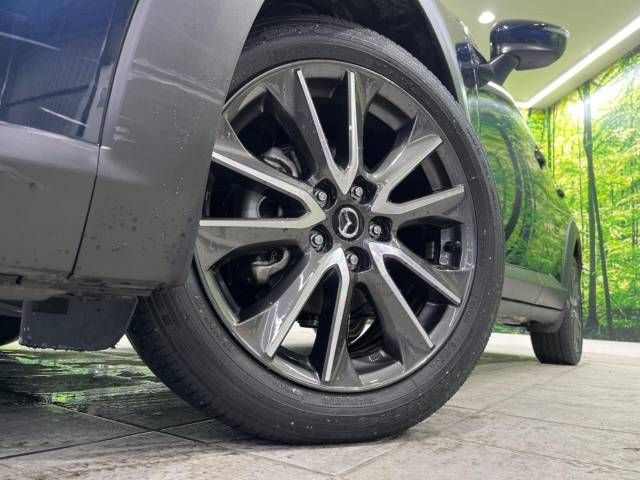 Mazda CX-3 2016-04 182950-13