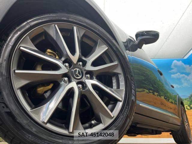 Mazda CX-3 2015-12 295603-13
