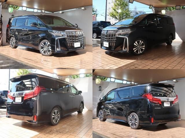 Toyota ALPHARD 2021-06 9223-3