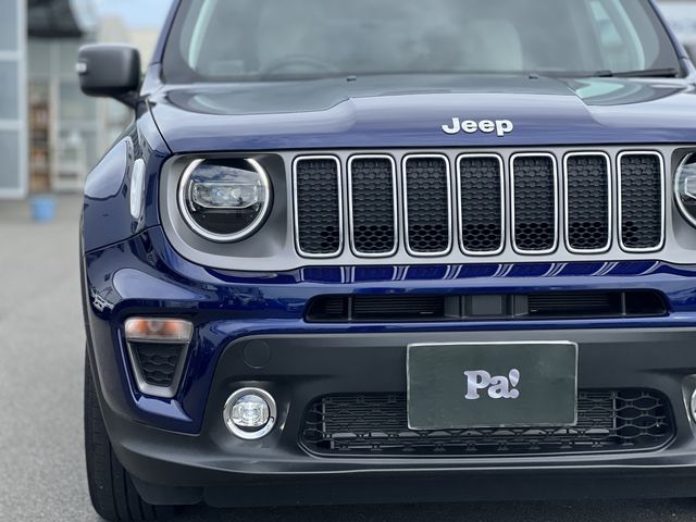 Jeep RENEGADE 2022-01 21189-23