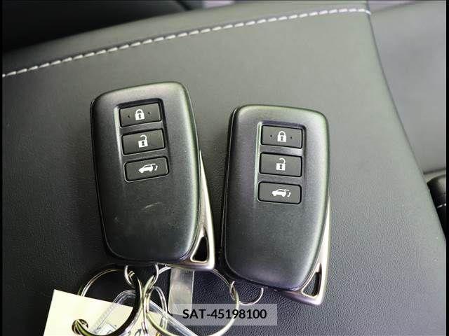 Lexus RX 2019-04 275781-17