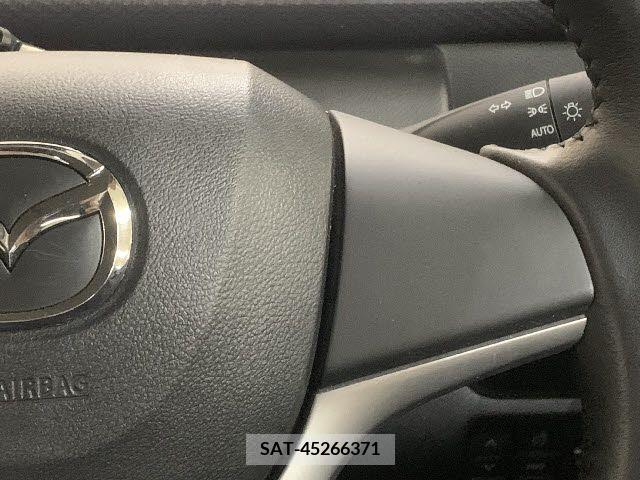 Mazda FLAIR 2019-01 203079-21