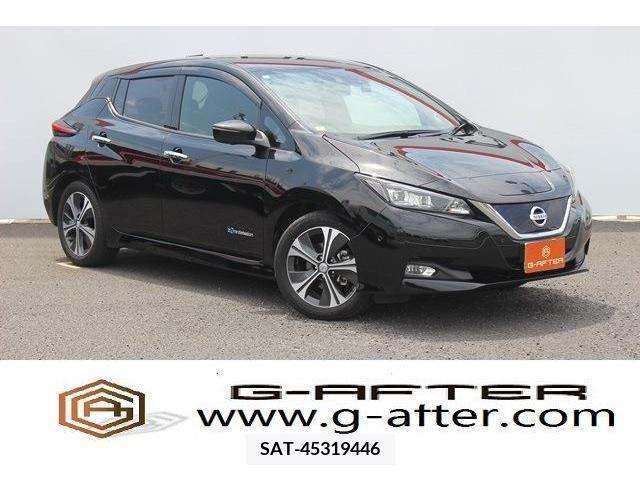 Nissan LEAF 2018-08 345897-0