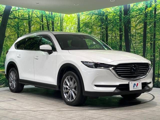 Mazda CX-8 2019-02 189686-16