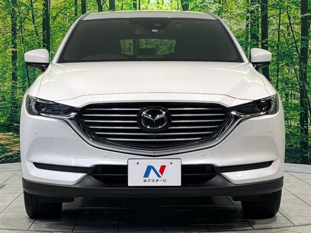 Mazda CX-8 2019-02 189686-14