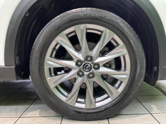 Mazda CX-8 2019-02 189686-13