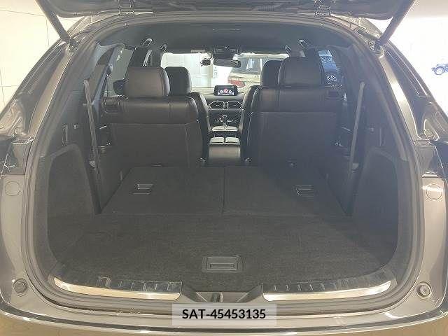 Mazda CX-8 2018-01 332154-13