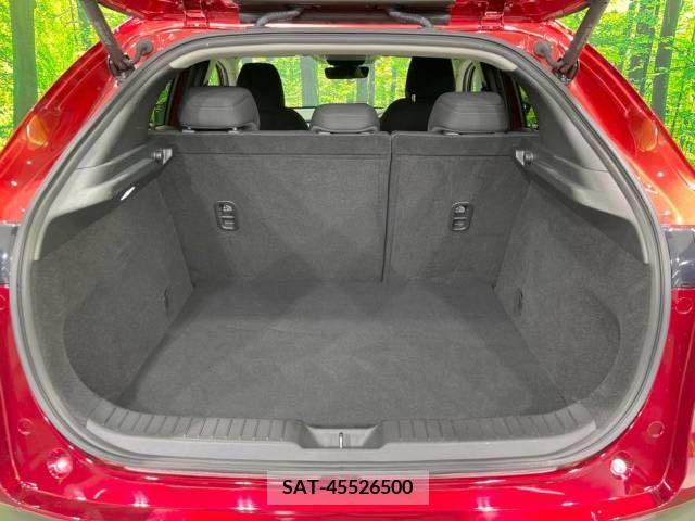 Mazda CX-30 2021-06 295616-11