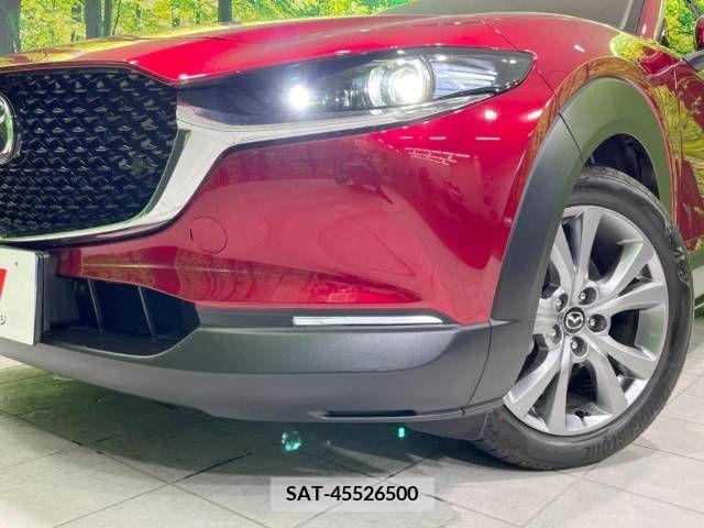 Mazda CX-30 2021-06 295616-12