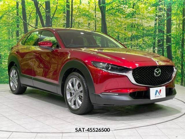 Mazda CX-30 2021-06 295616-16