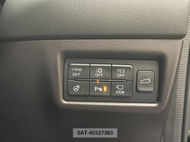 Mazda CX-8 2018-01 390283-22