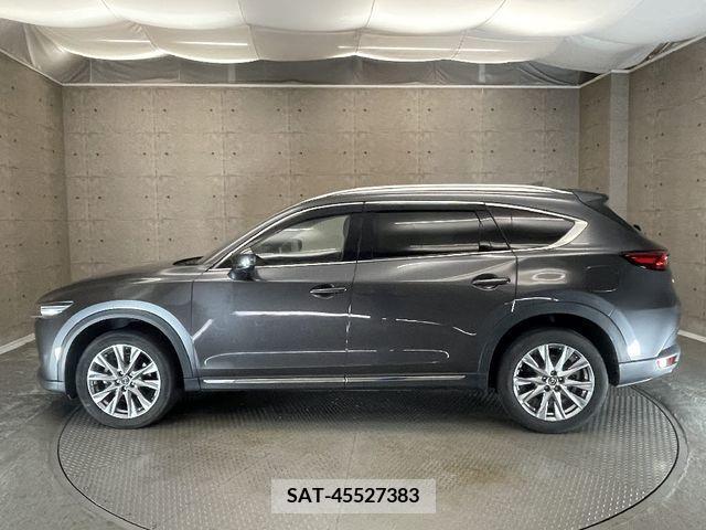 Mazda CX-8 2018-01 390283-6
