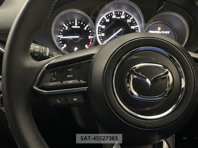 Mazda CX-8 2018-01 390283-18