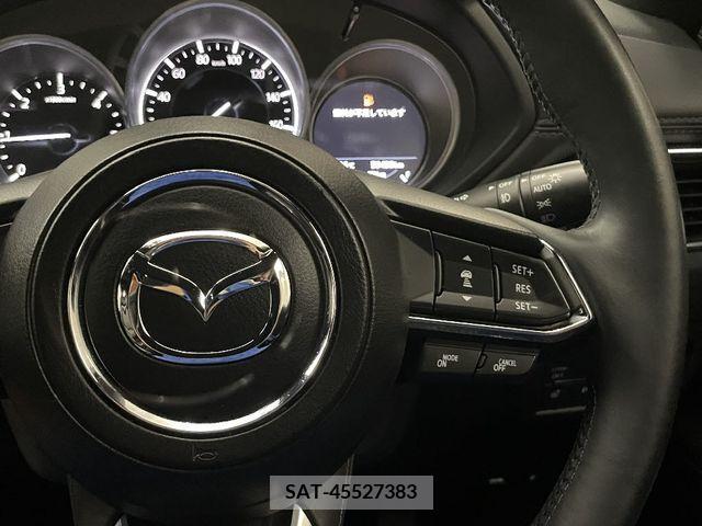 Mazda CX-8 2018-01 390283-19