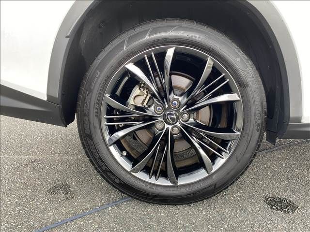 Lexus RX 2021-07 8642-19