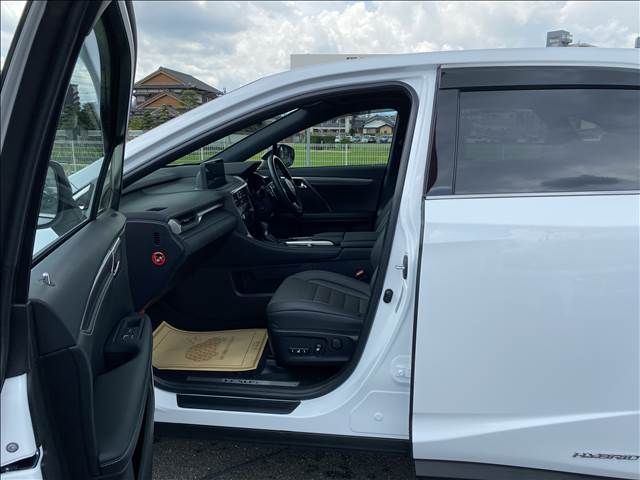 Lexus RX 2021-07 8642-4