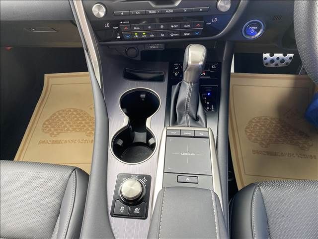 Lexus RX 2021-07 8642-8