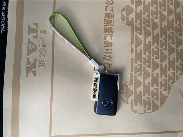 Lexus RX 2021-07 8642-18