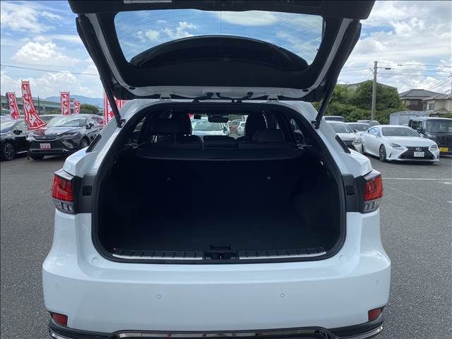 Lexus RX 2021-07 8642-14