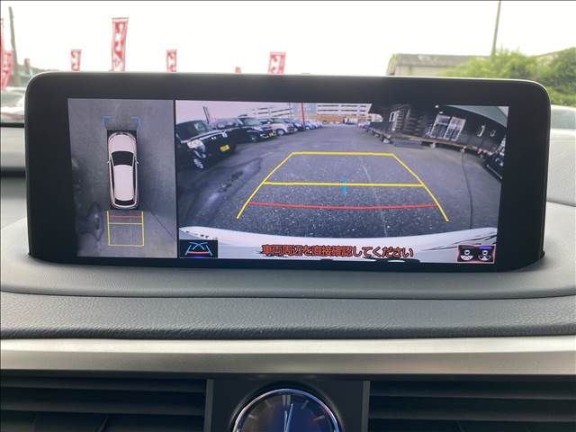Lexus RX 2021-07 8642-7