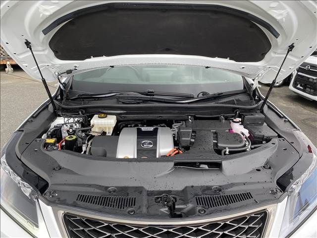 Lexus RX 2021-07 8642-17