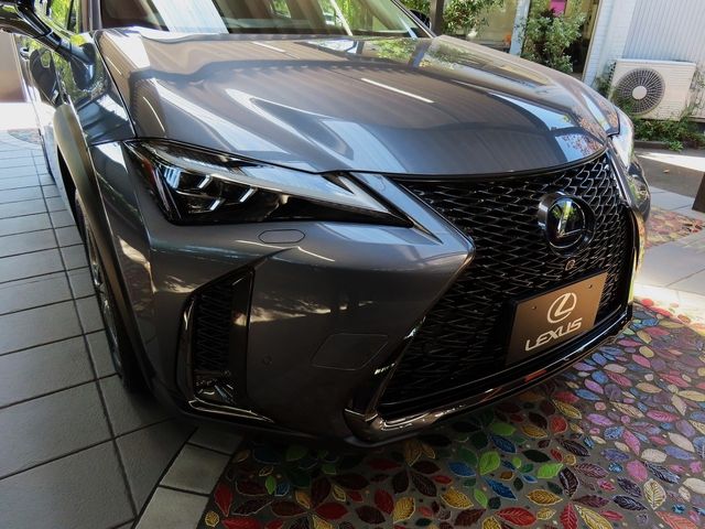 Lexus UX 2020-06 11519-8