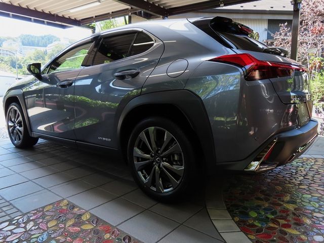 Lexus UX 2020-06 11519-10