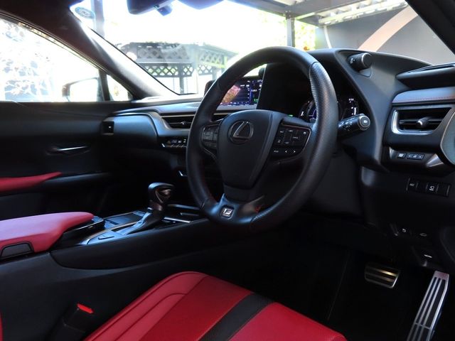 Lexus UX 2020-06 11519-13