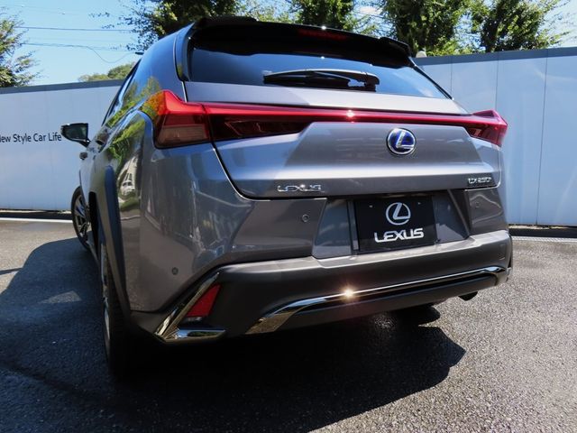 Lexus UX 2020-06 11519-28