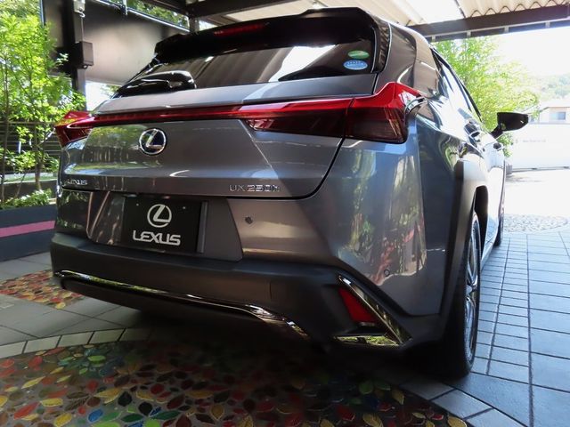 Lexus UX 2020-06 11519-1