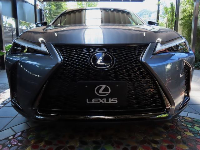 Lexus UX 2020-06 11519-4