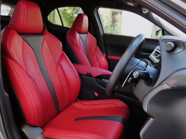 Lexus UX 2020-06 11519-14