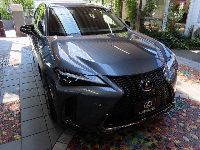 Lexus UX 2020-06 11519-7